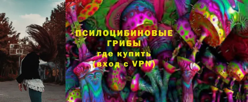 Галлюциногенные грибы MAGIC MUSHROOMS  Кандалакша 